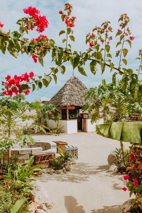 Bukoba - Olive - Private Pool, Ac & Wi-fi * Nungwi