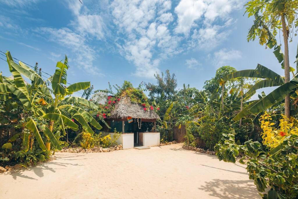 Bukoba - Olive - Private Pool, Ac & Wi-fi Nungwi